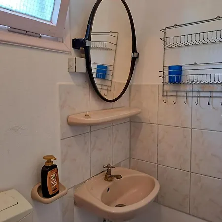 Octopus *